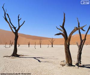 Puzzle de Deadvlei, Namibia