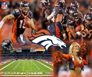 Puzzle de Denver Broncos