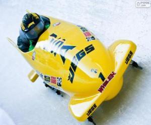 Puzzle de Descenso en bobsleigh o bobsled