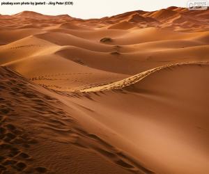 Puzzle de Desierto de Marruecos