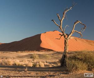 Puzzle de Desierto del Namib, Namibia