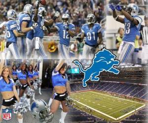 Puzzle de Detroit Lions