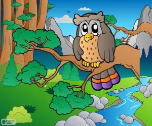 Puzzle de Dibujo de búho