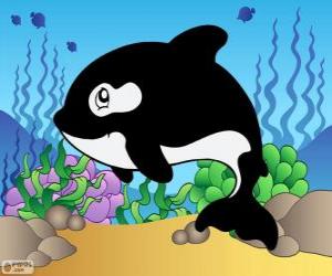 Puzzle de Dibujo de un Orca
