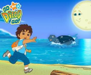 Puzzle de Diego en la playa y una tortuga marina en el agua