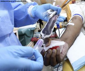 Puzzle de Donación de sangre