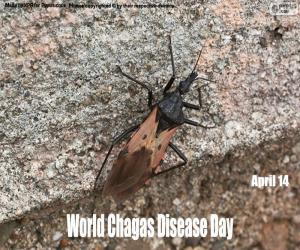 Puzzle de Día Mundial de la Enfermedad de Chagas
