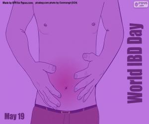 Puzzle de Día Mundial de la Enfermedad Inflamatoria Intestinal