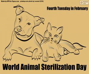 Puzzle de Día Mundial de la Esterilización Animal