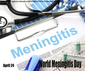Puzzle de Día Mundial de la Meningitis