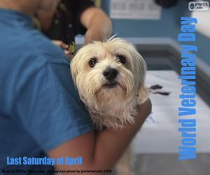 Puzzle de Día Mundial del Veterinario