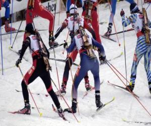 Puzzle de El biatlón en un deporte de invierno que consiste en combinar el esquí de fondo con el tiro al blanco.