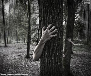 Puzzle de El bosque del horror