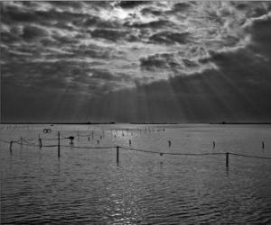 Puzzle de El Delta del Ebro, Cataluña, España.