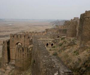 Puzzle de El Fuerte de Rhotas, Pakistán