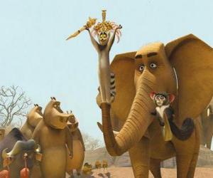 Puzzle de El Rey Julian, el lemur de cola anillada junto a otros animales