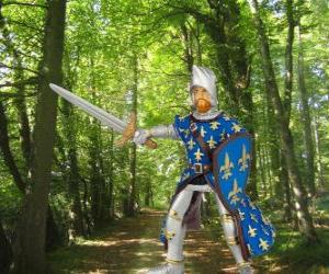 Puzzle de El valiente y encantador príncipe con el escudo y la espada