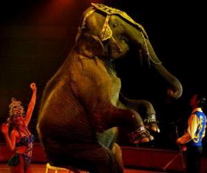 Puzzle de Elefante en el circo