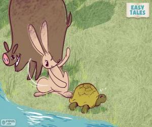 Puzzle de Empieza la carrera, la liebre esta convencida de su victoria