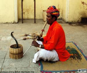 Puzzle de Encantador de serpientes