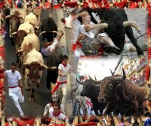 Puzzle de Encierros de los Sanfermines. Pamplona, Navarra, España. Fiestas de San Fermín del 6 a 14 de julio
