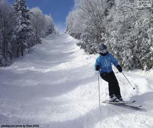 Puzzle de Esquiadora