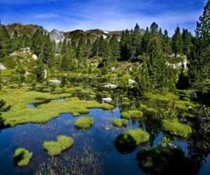 Puzzle de Estanque del Carlit