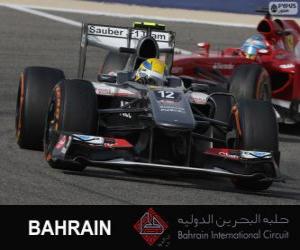 Puzzle de Esteban Gutierrez - Sauber - Circuito Internacional de Bahrain 2013