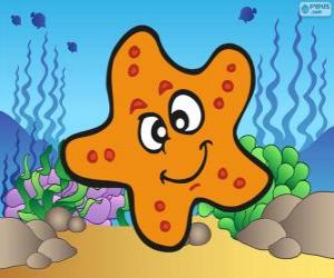 Puzzle de Estrella de mar