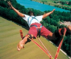 Puzzle de Extreme bungee