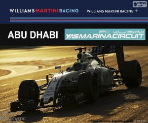 Puzzle de F. Massa, GP Abu Dhabi 2016