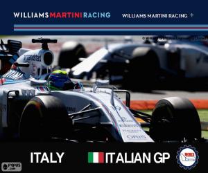 Puzzle de F. Massa, GP de Italia 2015