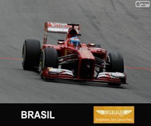 Puzzle de Fernando Alonso - Ferrari - Gran Premio de Brasil 2013, 3er Clasificado