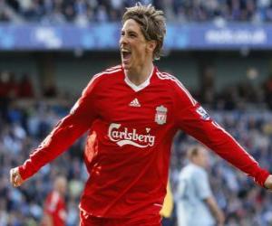 Puzzle de Fernando Torres celebrando un gol