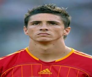 Puzzle de Fernando Torres