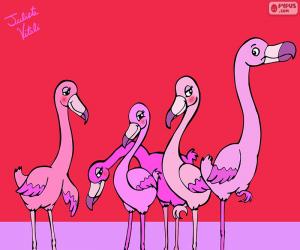 Puzzle de Flamencos de Julieta Vitali