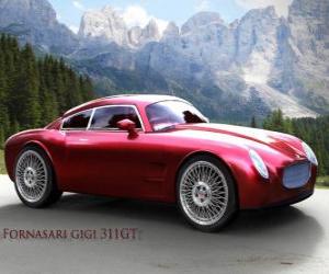 Puzzle de Fornasari 311 GT