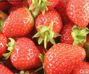 Puzzle de Fresas