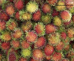 Puzzle de Frutos del rambután