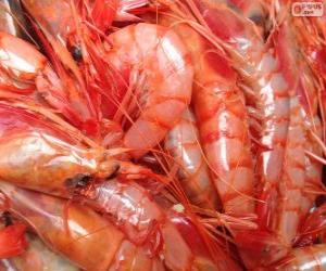 Puzzle de Gambas frescas