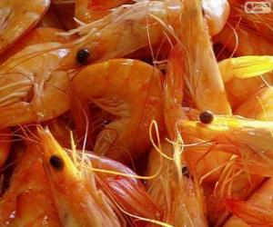 Puzzle de Gambas saladas