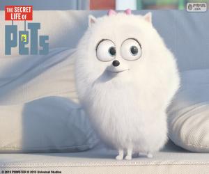 Puzzle de Gidget, una perrita blanca