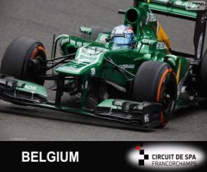 Puzzle de Giedo van der Garde - Caterham - Spa-Francorchamps, 2013