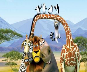 Puzzle de Gloria la hipopótamo, Melman la jirafa, Alex el león, Marty la cebra con otros protagonistas de las aventuras