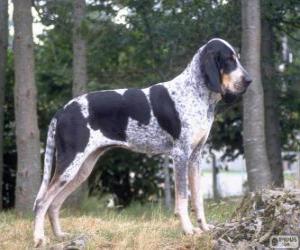 Puzzle de Gran azul de Gascuña