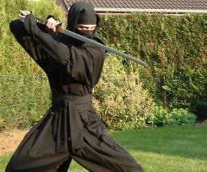 Puzzle de Guerrero ninja y la lucha con la katana