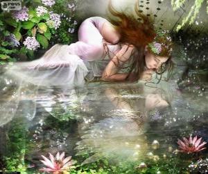 puzzles de hadas