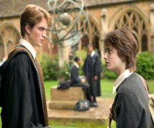 Puzzle de Harry Potter y su amigo Cedric Diggory