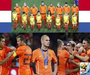 Puzzle de Holanda, 2º Clasificado de la Copa del Mundo de fútbol de Sudáfrica 2010