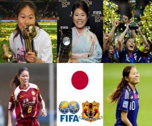 Puzzle de Homare Sawa mejor Jugadora Mundial del Año de la FIFA 2011